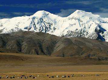 高溫黃油|高溫潤(rùn)滑脂|低溫潤(rùn)滑脂|齒輪潤(rùn)滑脂|真空密封脂|汽車潤(rùn)滑脂|湖南高溫潤(rùn)滑脂廠家