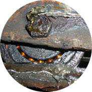 高溫黃油|高溫潤(rùn)滑脂|低溫潤(rùn)滑脂|齒輪潤(rùn)滑脂|真空密封脂|汽車潤(rùn)滑脂|湖南高溫潤(rùn)滑脂廠家