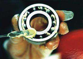 高溫黃油|高溫潤(rùn)滑脂|低溫潤(rùn)滑脂|齒輪潤(rùn)滑脂|真空密封脂|汽車潤(rùn)滑脂|湖南高溫潤(rùn)滑脂廠家